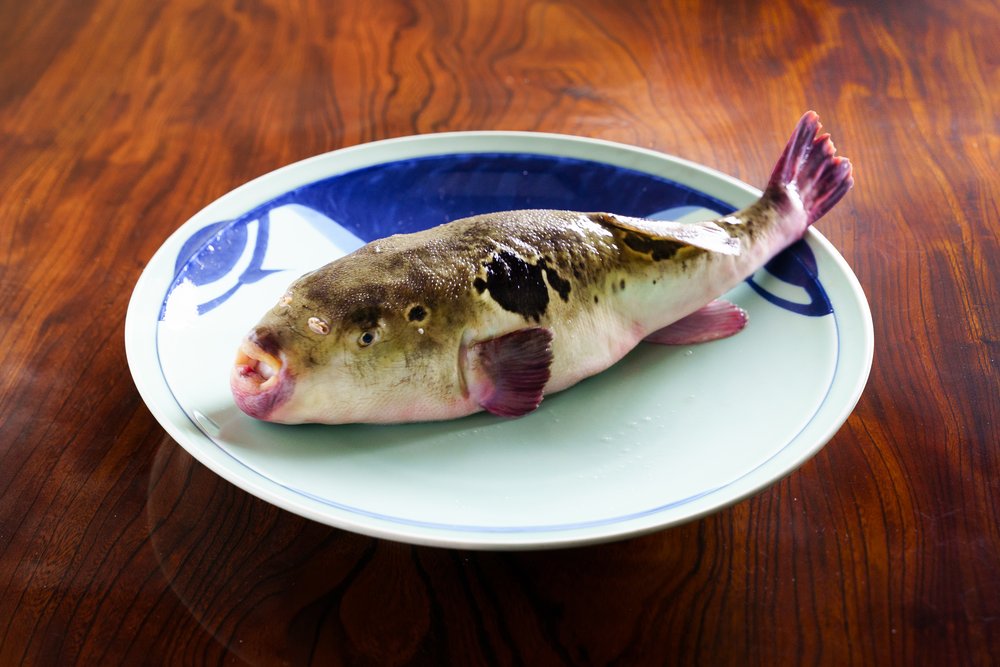 ふぐ